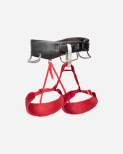 Imbrago bd momentum d 651102 wilde rose w - Rosa